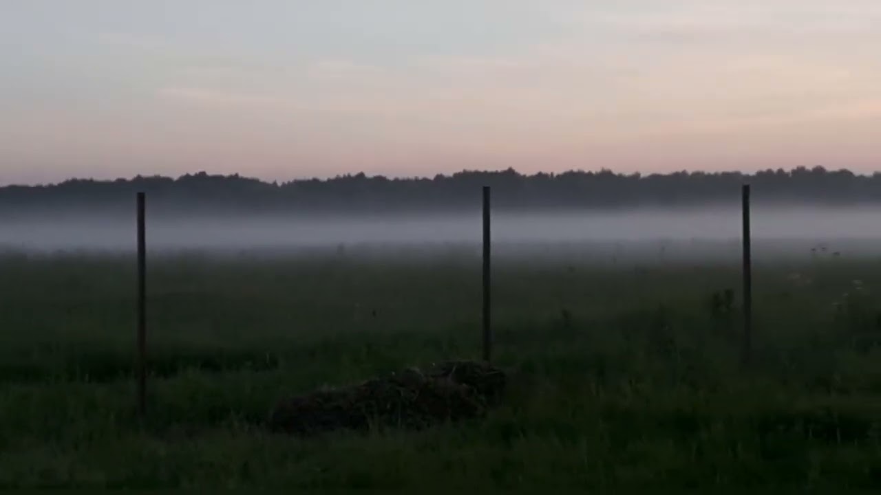 Короткое видео. Закат и утренний туман под пение птиц.