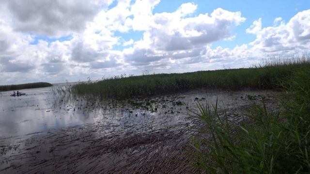 Воспоминания о лете Куршская коса