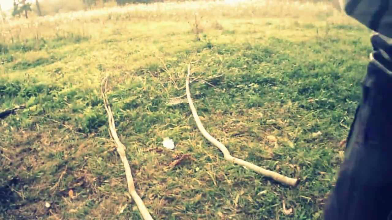 Девчонок привел из леса
