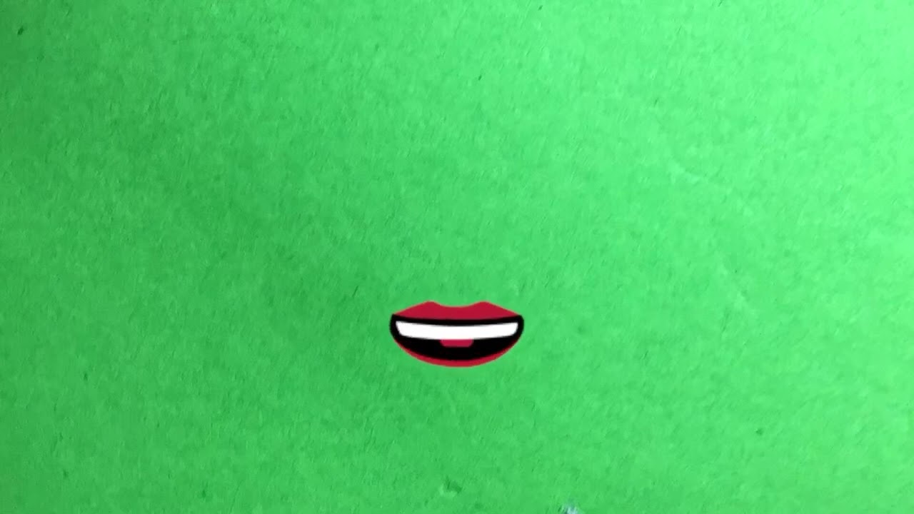 Футаж на зелёном фоне анимации речи женщины