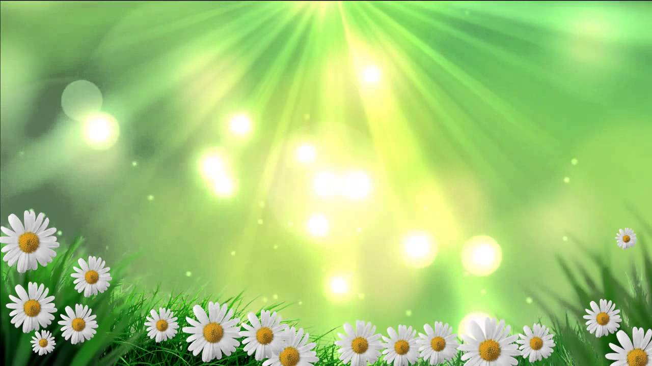 Футажи для видеомонтажа фон природа