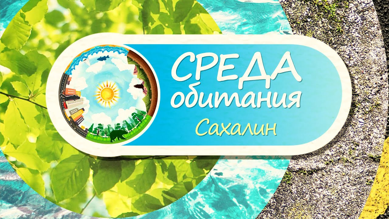 На защите природы. Сахалинские школьники приняли участие во всероссийском конкурсе Эколята.