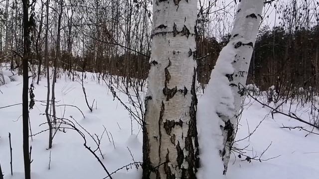 ASMR SOUNDS Звуки снега под ногами