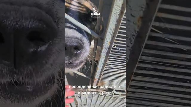 расходы