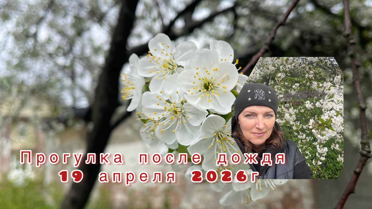 ВеснаПрирода после дождяПрогулка Влог