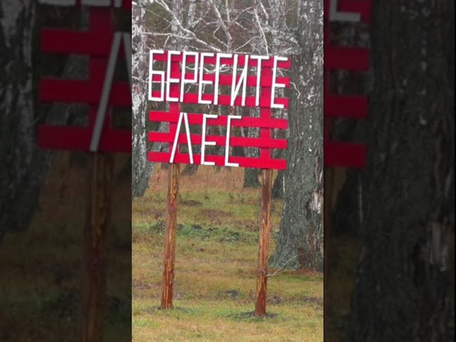 Тепло поздней осенью в Сибири мокрые дороги леса возле деревни Бажениты