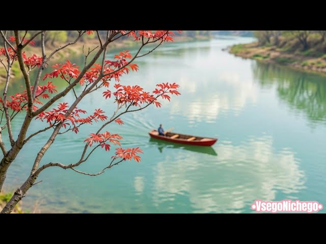 Мудрые мысли цитаты вдохновение мудрость философия дзен природа nature dzen relaxing