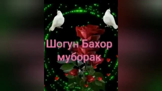 Шогун бахор муборак