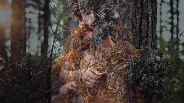 HEART OF THE FOREST