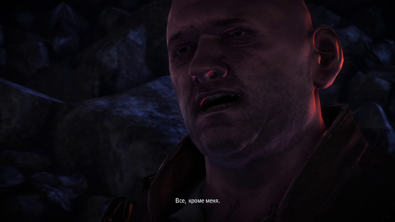 The Witcher 2 заставка