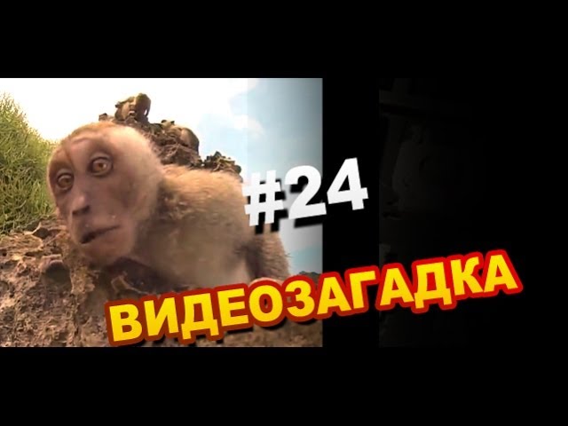 Видеозагадка 24 Что за зеленый человечек?