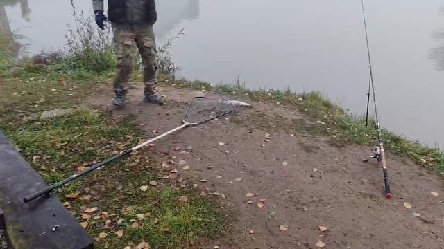 поимка на блесну