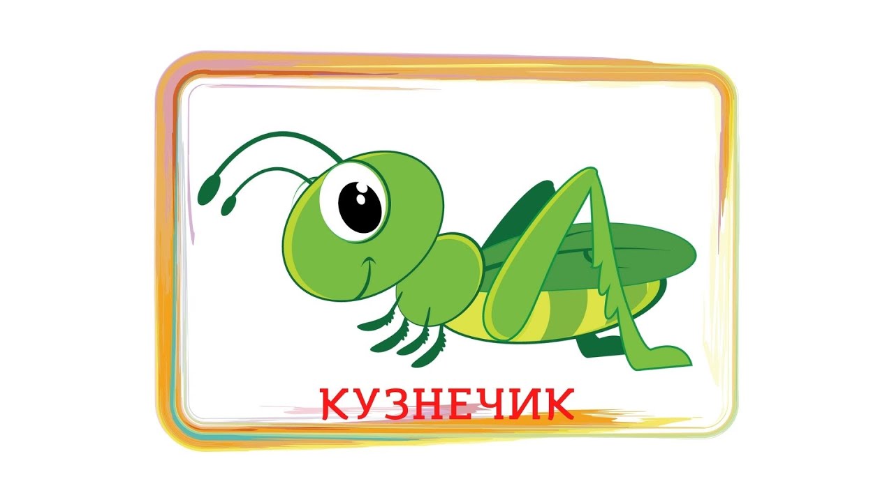 КУЗНЕЧИК. КОРОТКИЕ ИСТОРИИ ДЛЯ МАЛЫШЕЙ. РАЗВИТИЕ РЕЧИ МАЛЫША ОТ 1 ГОДА И 2 ЛЕТ. МУЛЬТФИЛЬМЫ.