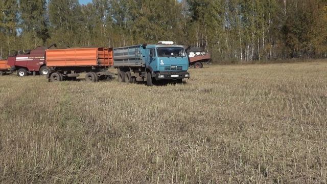 Уборка в Бобровском и Мыщланском хозяйствах. Сузунский МО.