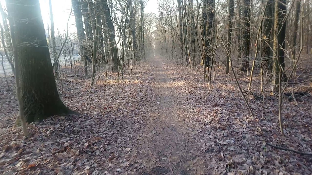 Понедельник. Снова на работу.. Найн