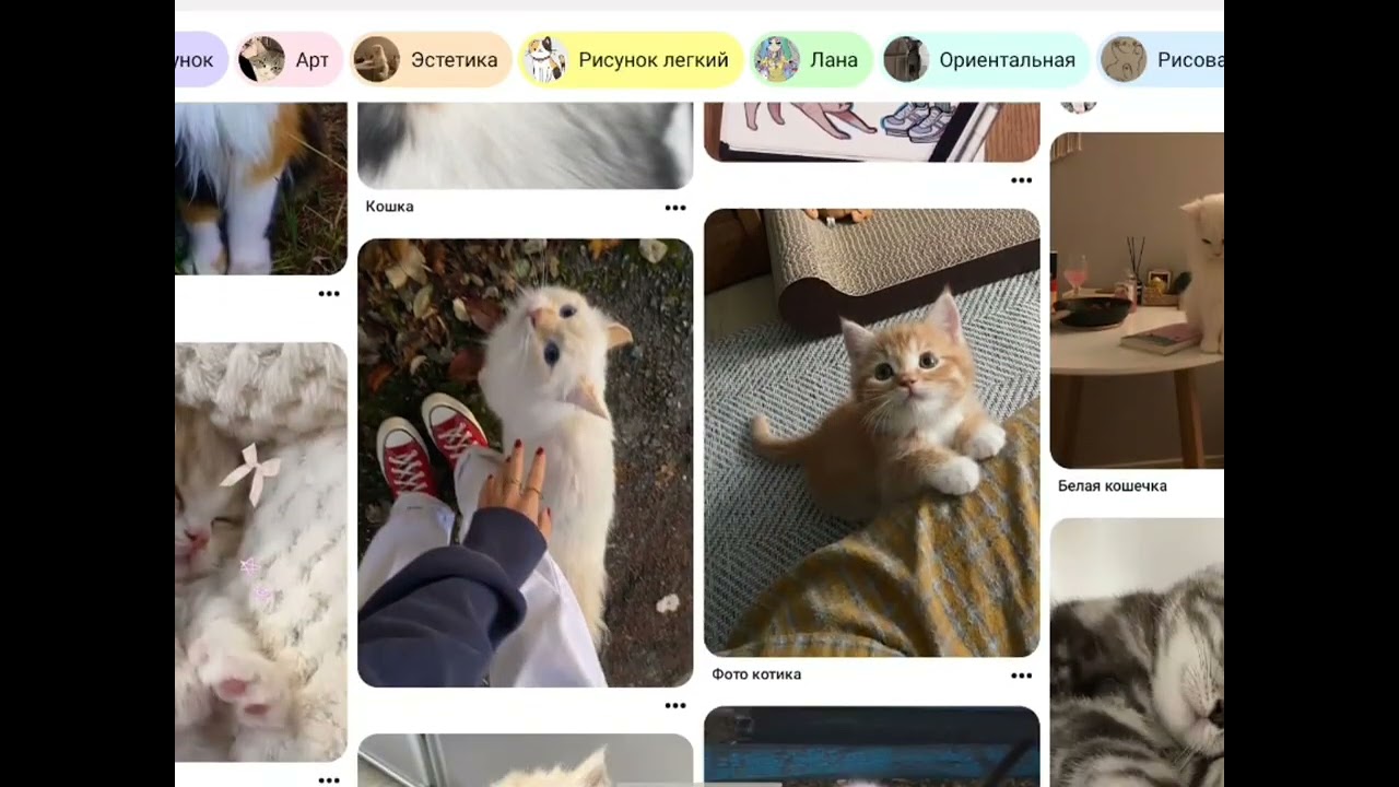 что написать в Pinterest 