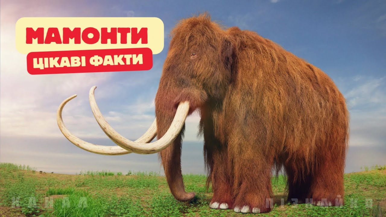 МАМОНТИ: цікаві факти та спосіб життя.