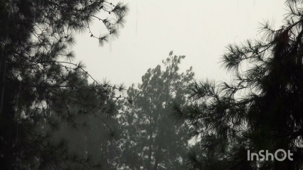 Ветер и дождь. Звуки для сна.Wind And Rain. Sounds For Sleeping. #звукидлясна #релакс #relaxsound