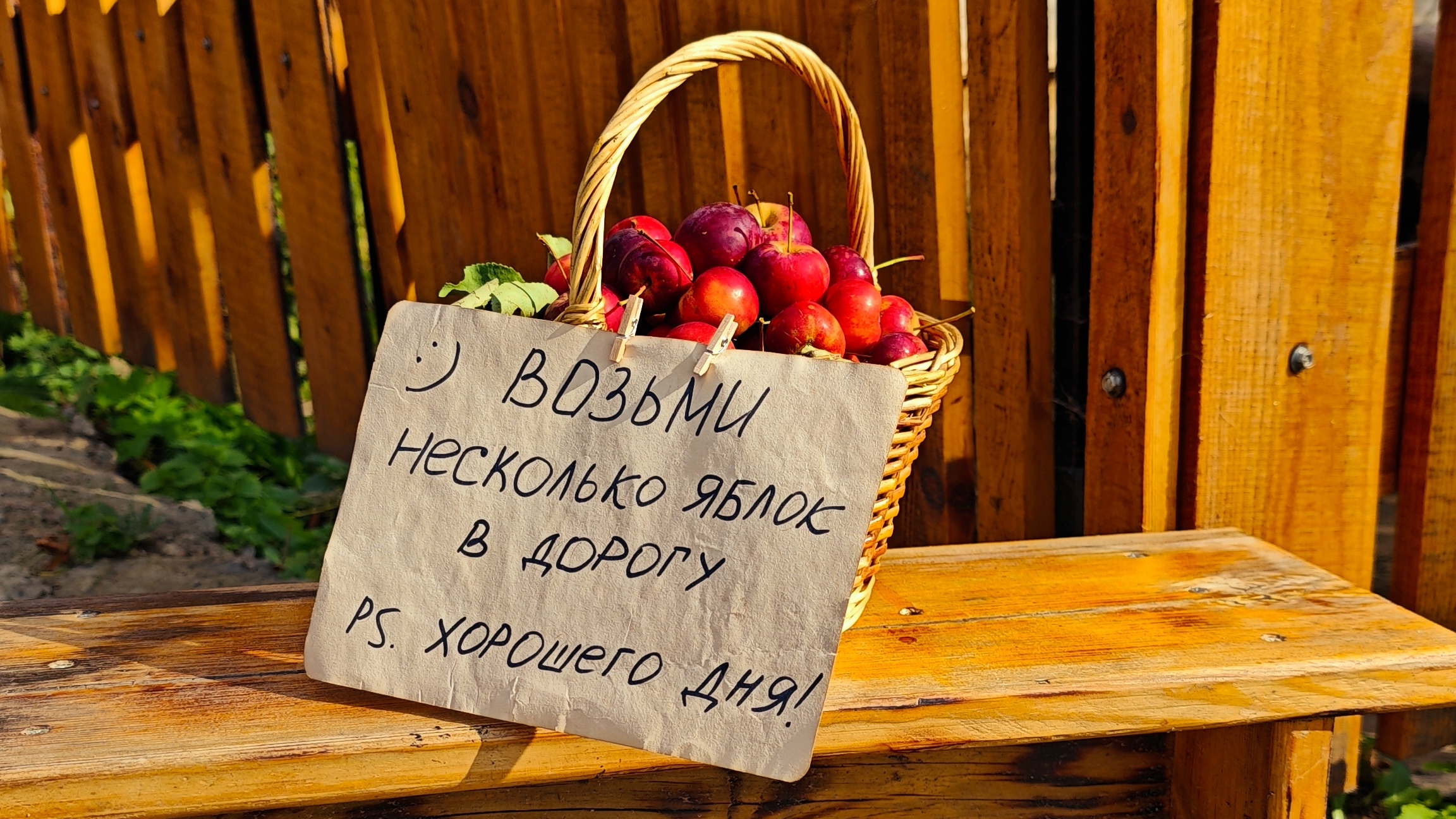 Яблочный эксперимент