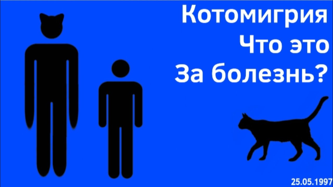 Котомигрия - что это за болезнь?  МЧС России 1997  VHS