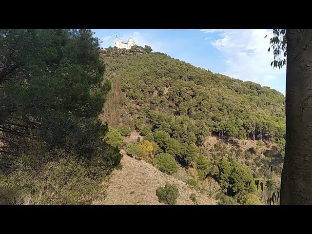 АСМР В лесу: шаги шуршание листьев птицы и прохожие . Colcerola. Barcelona