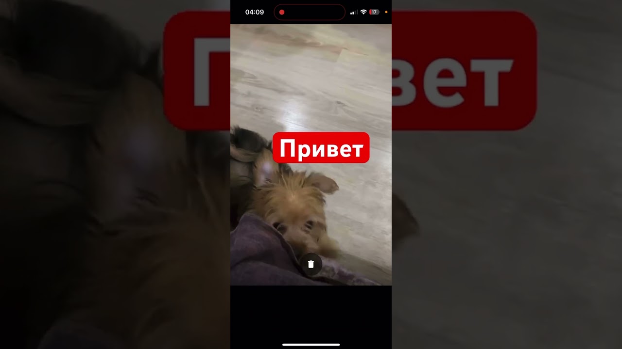 Как установить длительность надписи в видео в YouTube