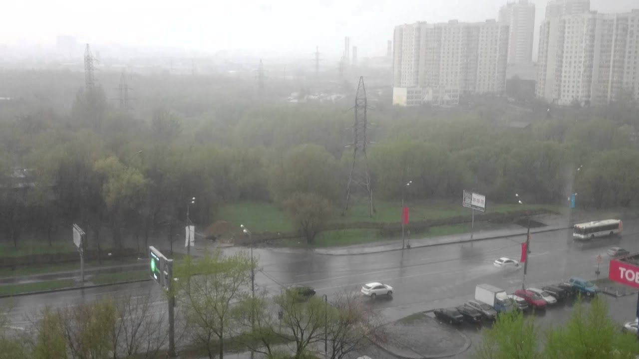 Дождь идет! А зелень растет. :) MOV 0001