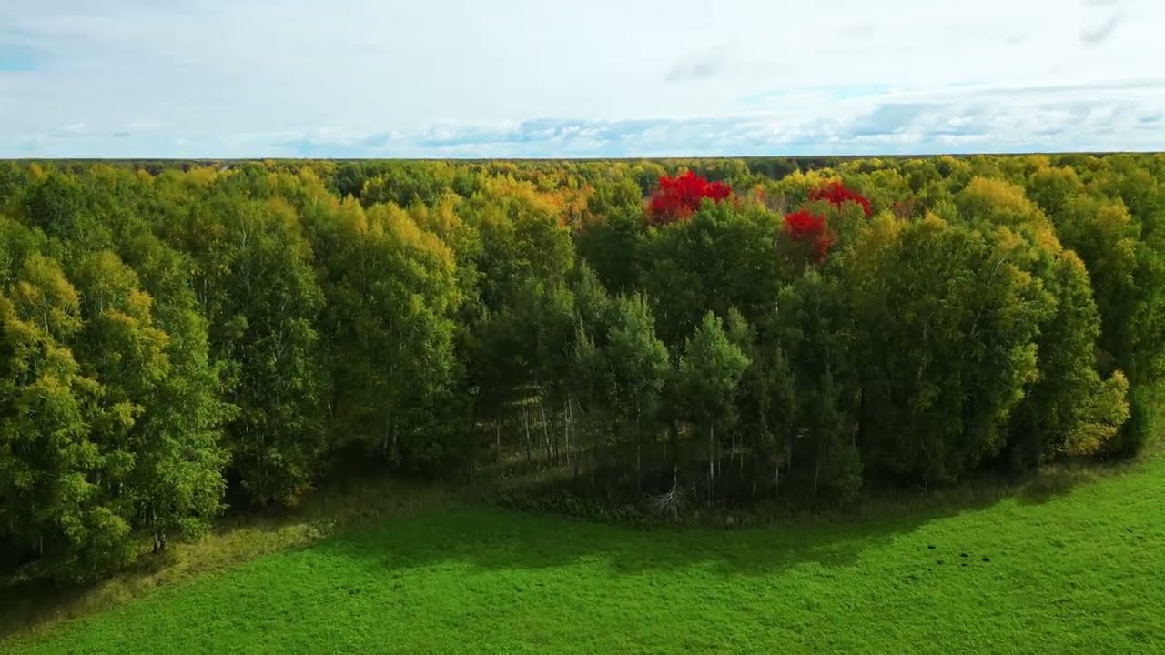 Осенние краски 4к