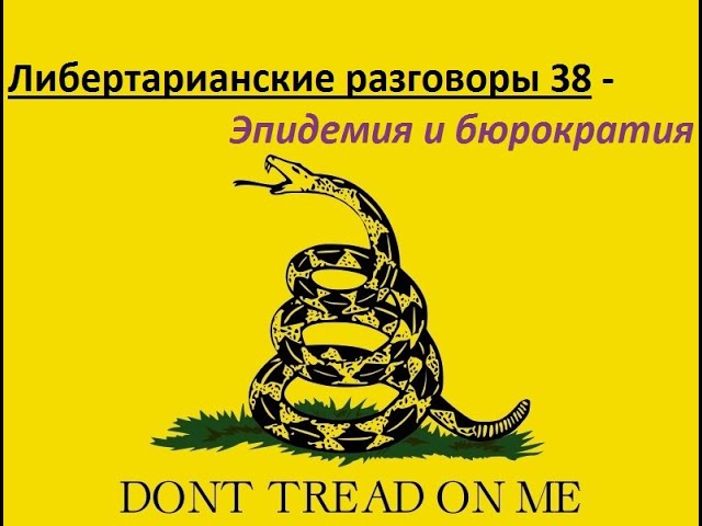 Либертарианские разговоры 38 - Эпидемия и бюрократия