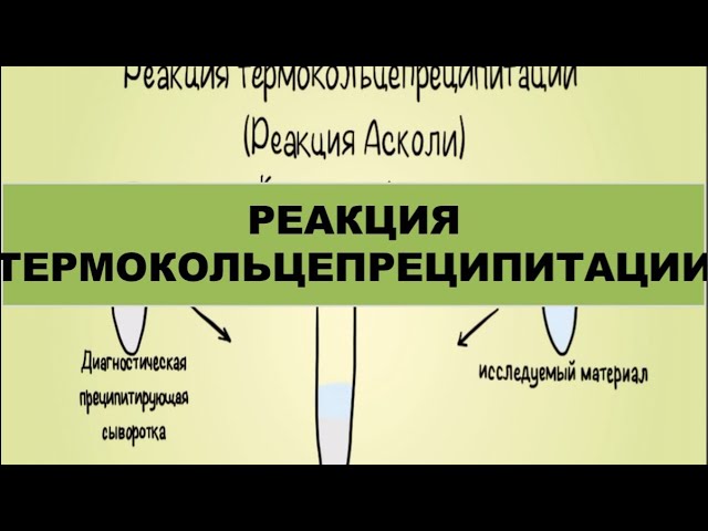 Реакция термокольцепреципитации реакция Асколи