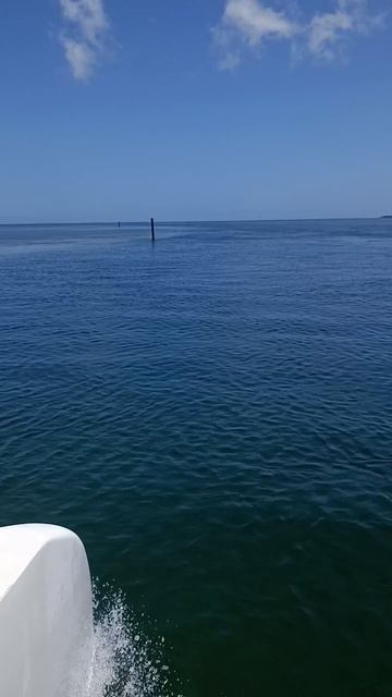 А если детство выглядит вот так… 💛🇨🇺