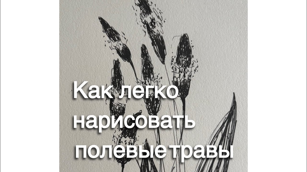 Как легко и без опыта нарисовать полевые травы имея только ручку.