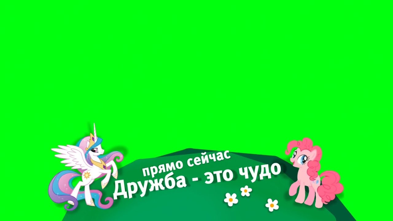 (БРАТЬ С ОТМЕТКОЙ!) Реконструкция плашки «Дружба - это чудо» (зелёный фон)