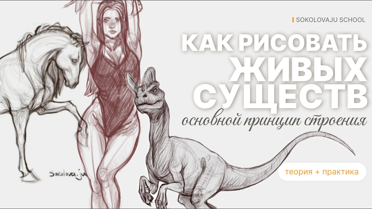 Как рисовать любых живых существ: основной принцип строения