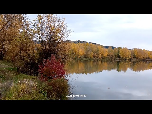Краски осени, поехали на природу
