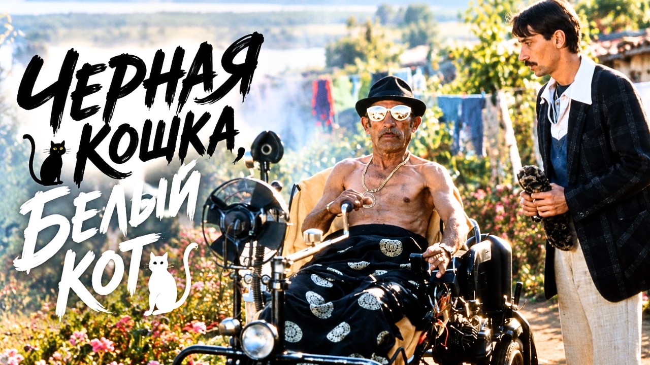 Лихая погоня за цыганским счастьем  ЧЕРНАЯ КОШКА БЕЛЫЙ КОТ  КУЛЬТОВАЯ КОМЕДИЯ КУСТУРИЦЫ