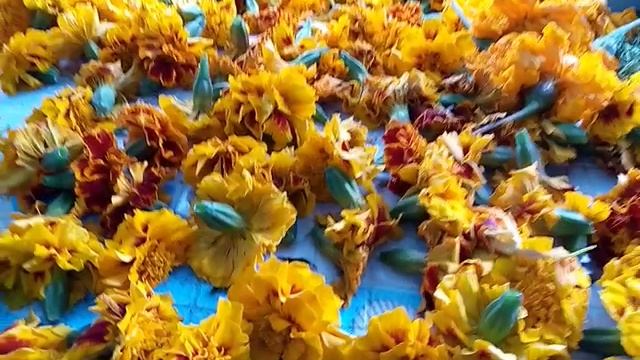 VID_20260929_103741.mp4