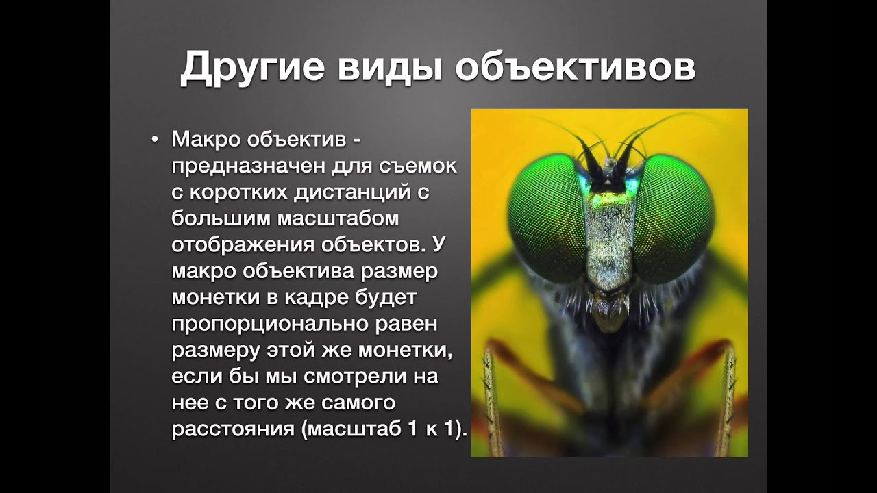 Как выбрать объектив? (Лекция Андрея Жукова)
