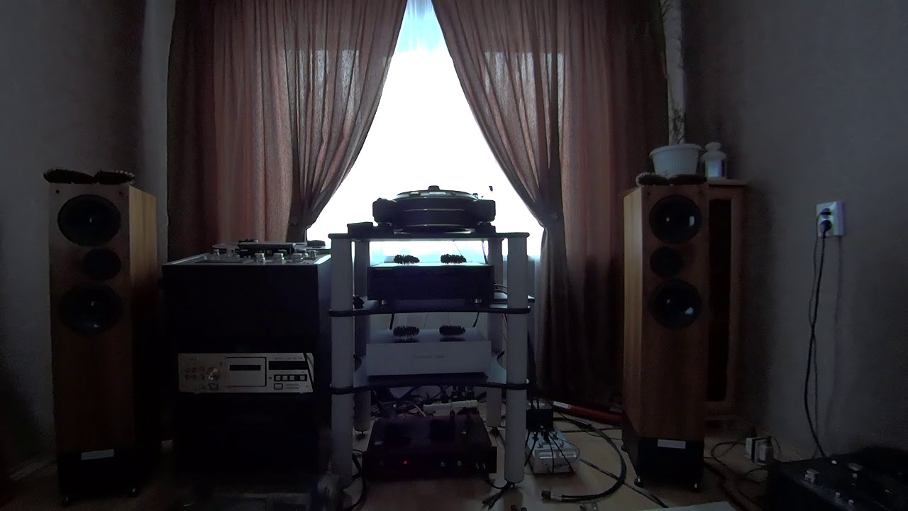 Living Voice Avatar II SE EL84 Acmera ACM-PA905T Олимп - 005