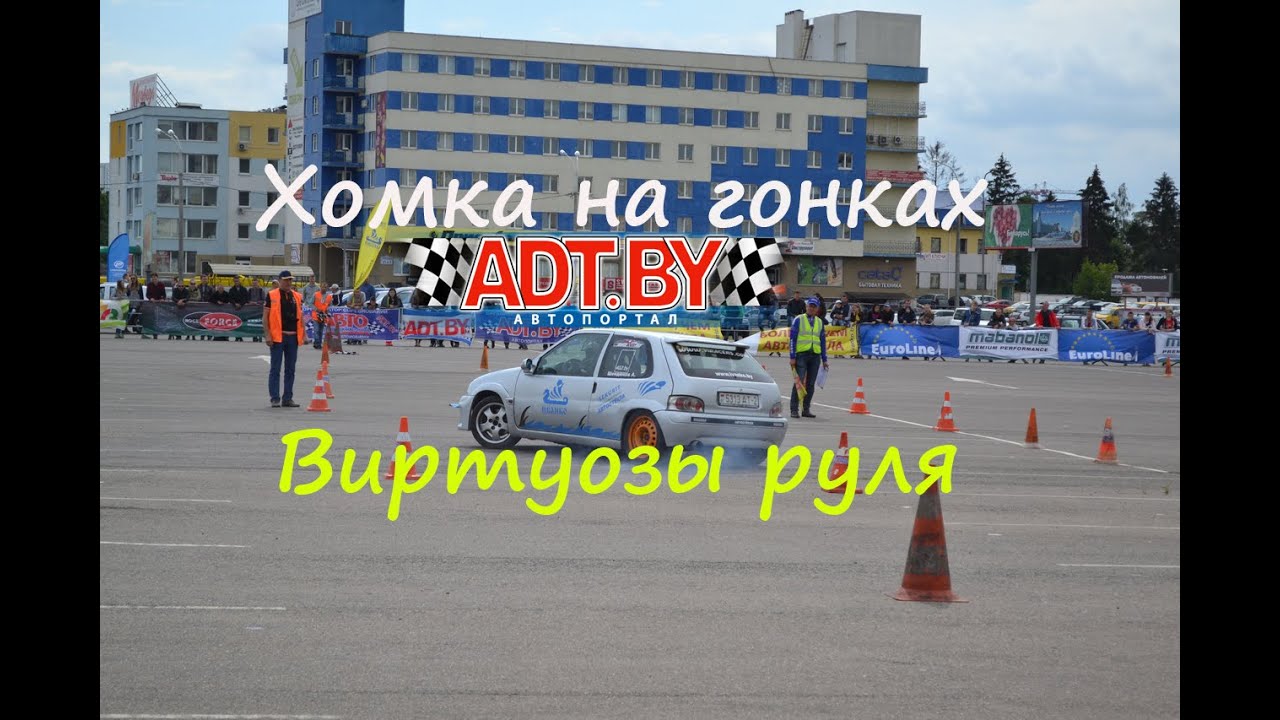 Хомка на гонках: Виртуозы руля