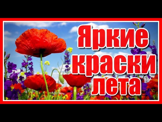 Яркие краски лета - Красивая композиция Сергея Грищука