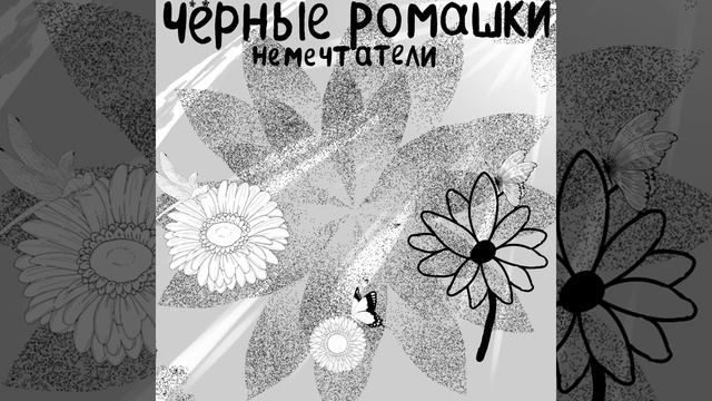 Черные ромашки