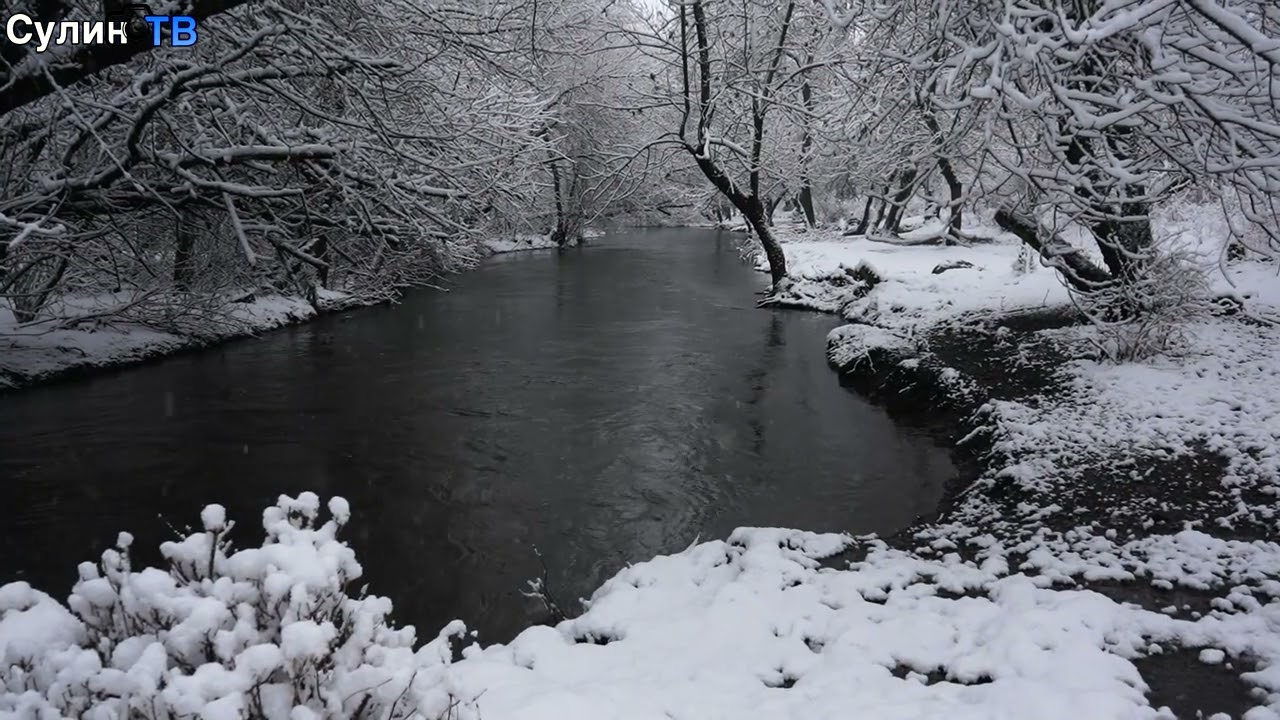 Снегом укутана природа