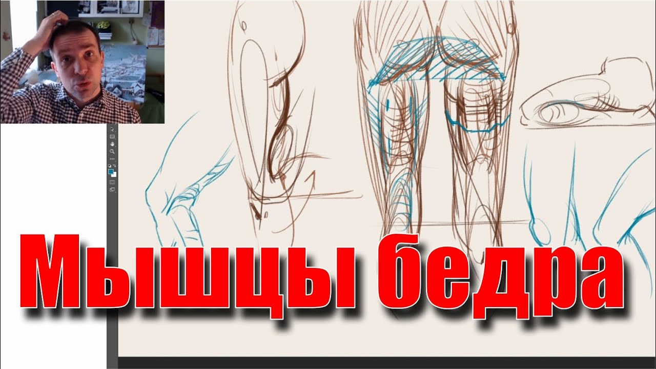 Мышцы задней поверхности бедра - А. Рыжкин