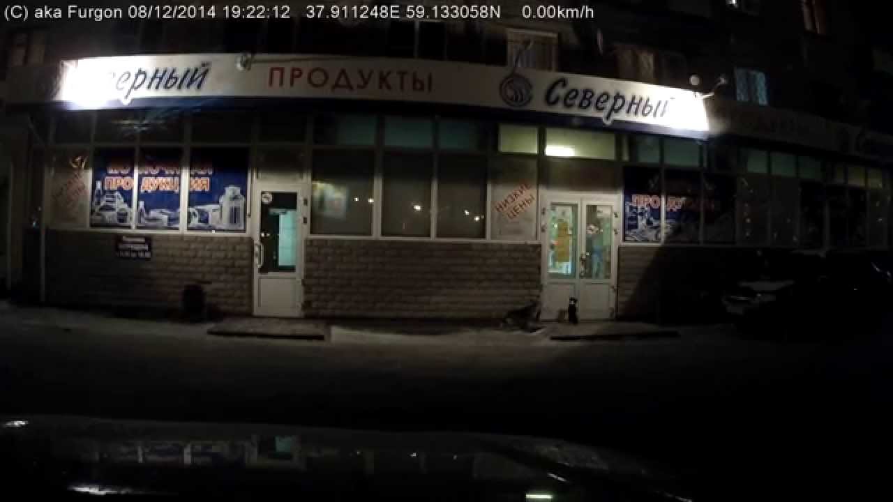 Ни за какие деньги нельзя заставить собаку вилять хвостом
