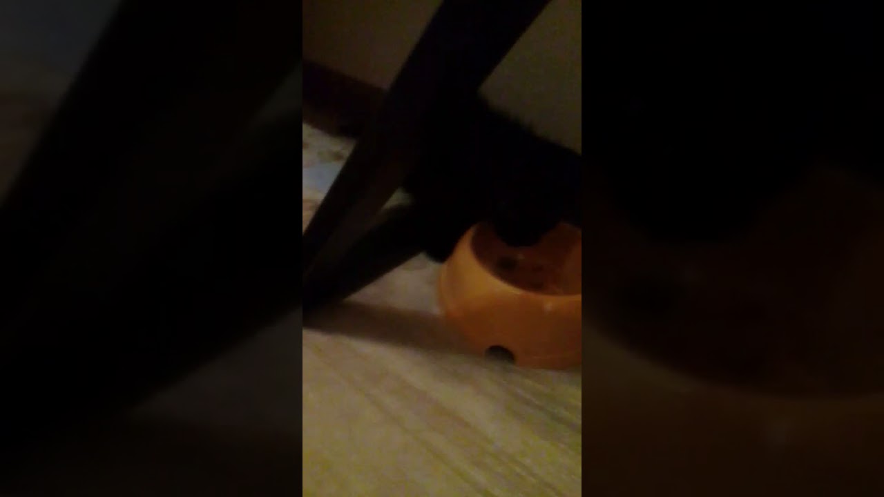 Каспер кушает