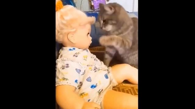 прикольное видео с котиками  озвучка бомба!!!