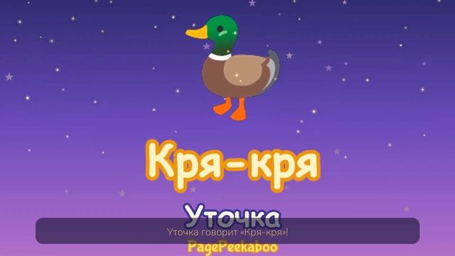 Что говорит уточка?  Звуки животных для малышей  PagePeekaboo