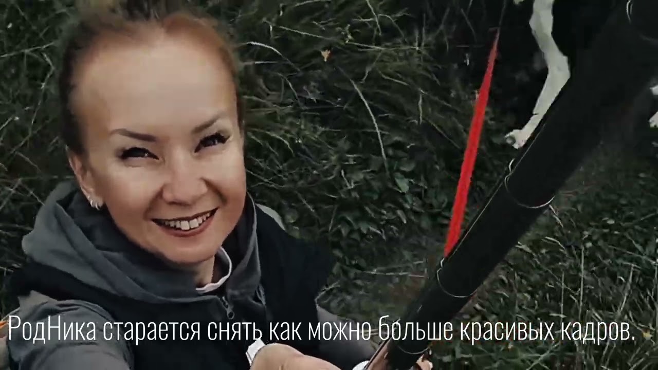 Прогулка с собакой глазами человека. Часть 1