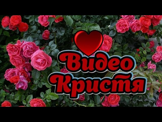Красивые розы Иванча Ivancea Шикарные розыBeautiful rosesRoses Красивая природаЛетоЛето розы
